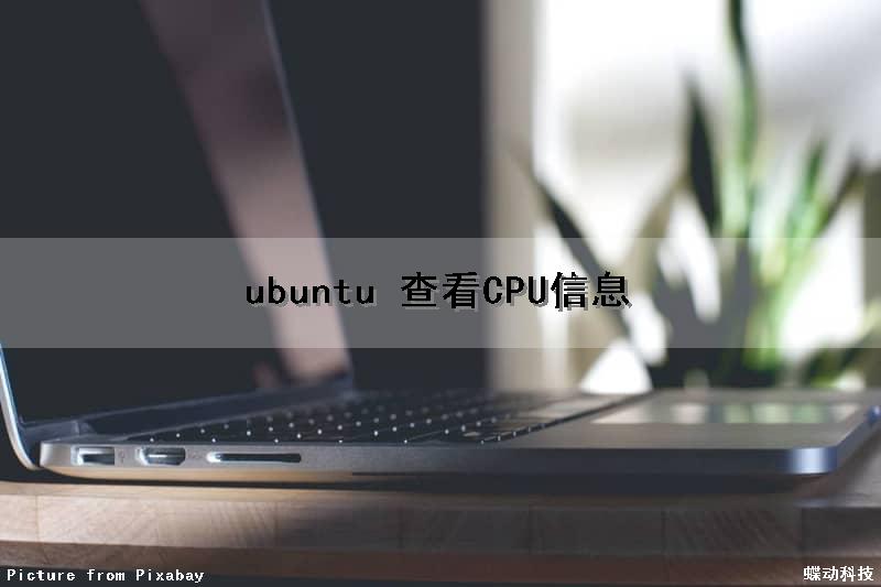 ubuntu 查看CPU信息（ubuntu查看cpu信息命令）