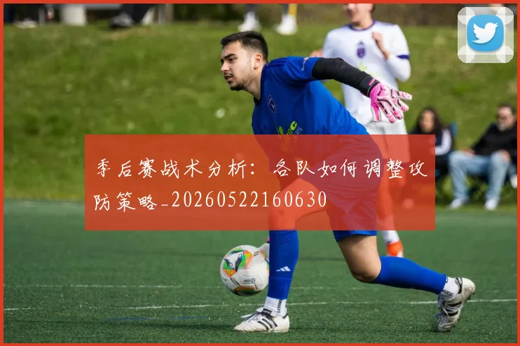 季后赛战术分析：各队如何调整攻防策略_20260522160630