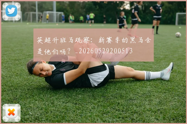 英超升班马观察:新赛季的黑马会是他们吗?_20260529200513