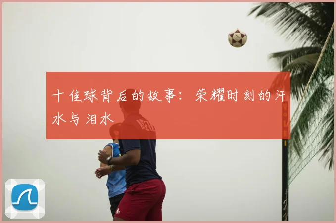 十佳球背后的故事：荣耀时刻的汗水与泪水